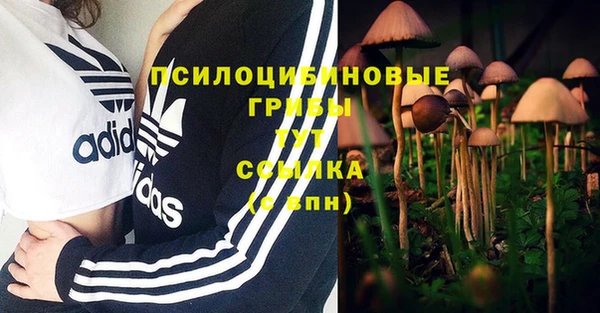 марки nbome Алзамай